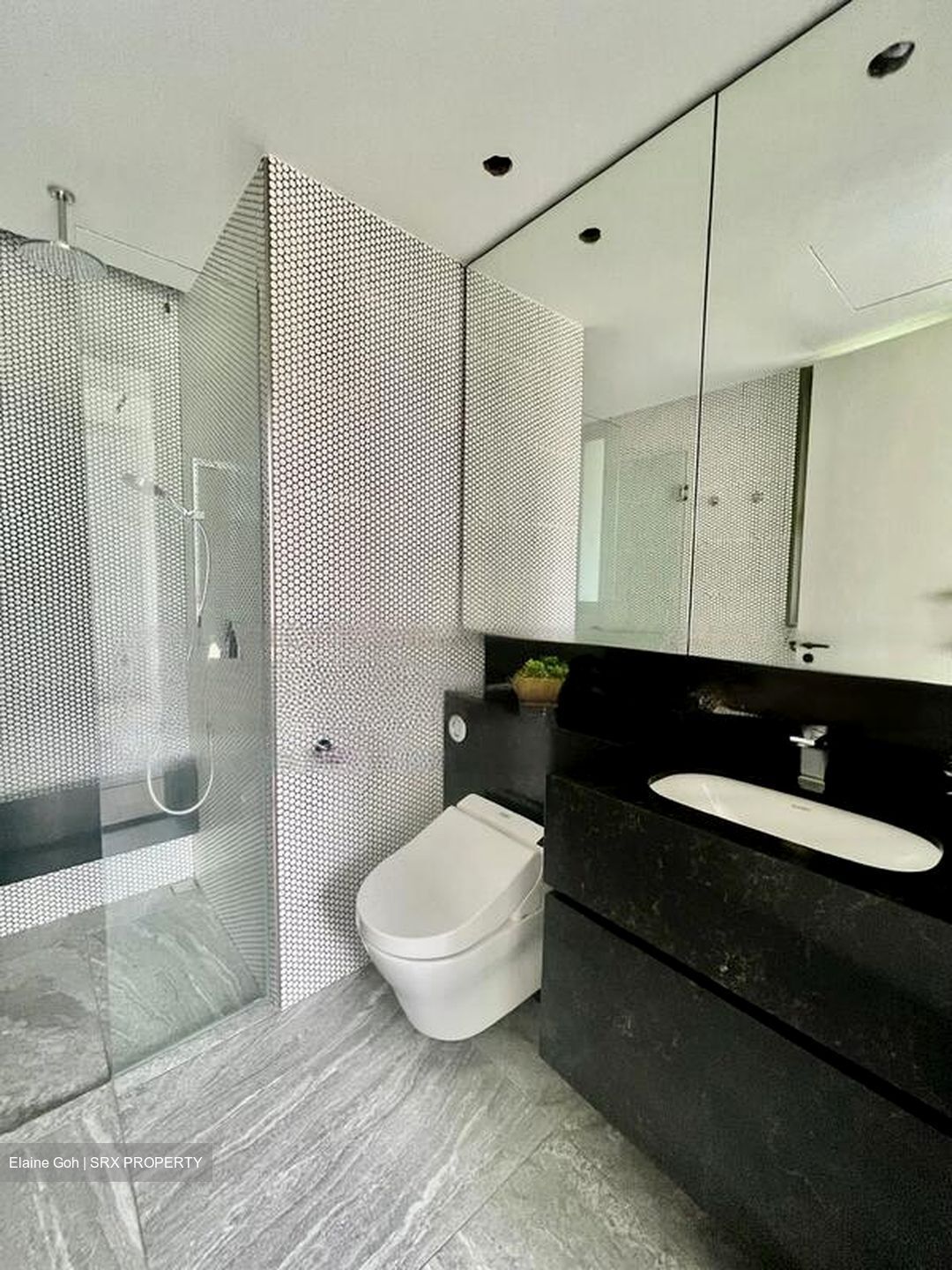 10 Evelyn (D11), Apartment #474669441